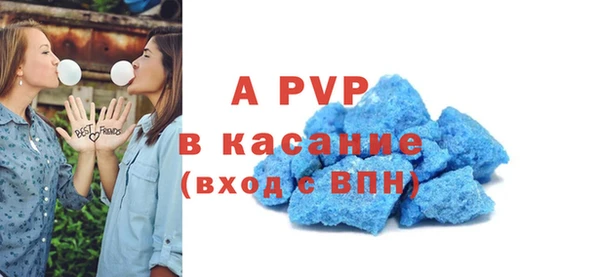 стафф Вязьма