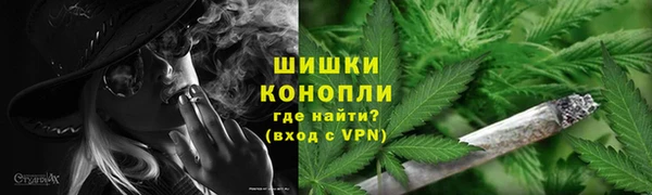 стафф Вязьма