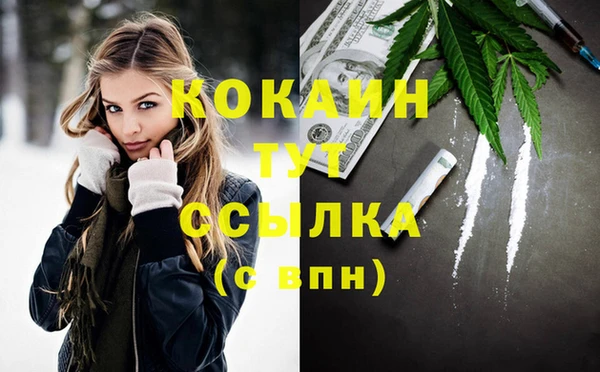 стафф Вязьма