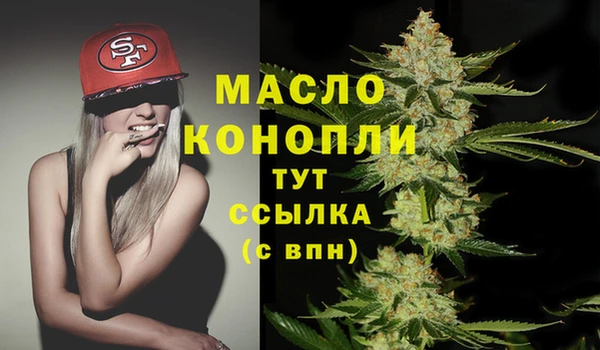 стафф Вязьма