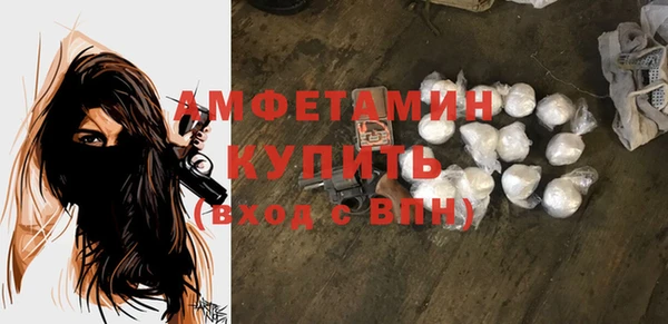 стафф Вязьма