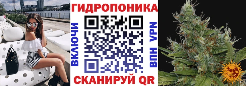 наркота  мориарти какой сайт  Марихуана Bruce Banner  Махачкала 